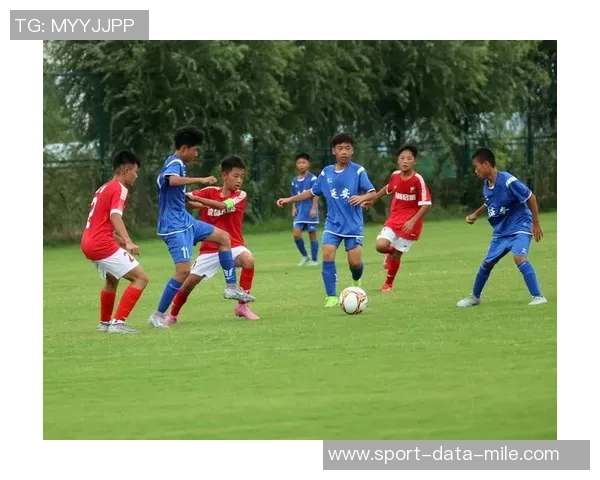 我们热爱足球的激情与梦想共同书写绿茵场上的辉煌篇章